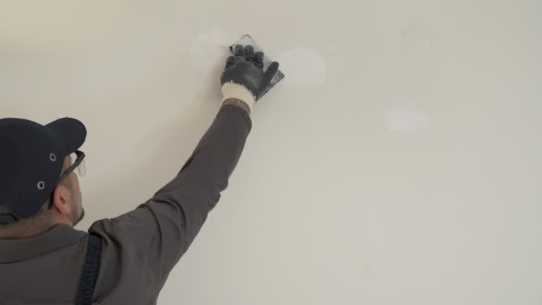 Best Commercial Painting  in Carl Junction, MO